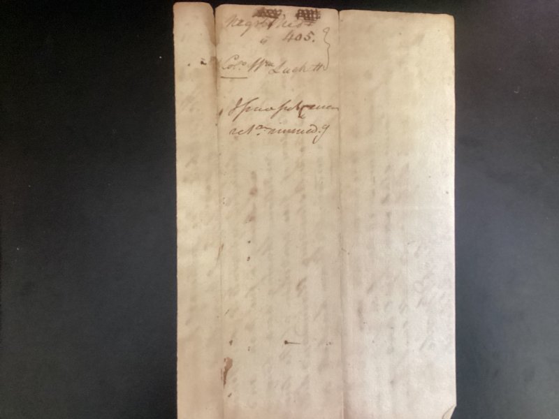 Negro Slave Ned Lyens or Lyons Free Man Petition cover pre confederate states