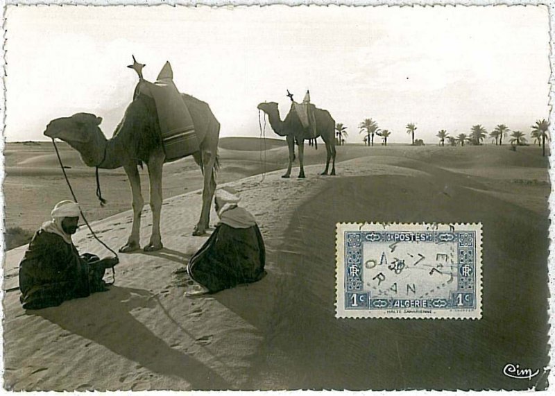 38753  - Algeria - POSTAL HISTORY -  MAXIMUM CARD  1938 : CAMELS & PALM TREES