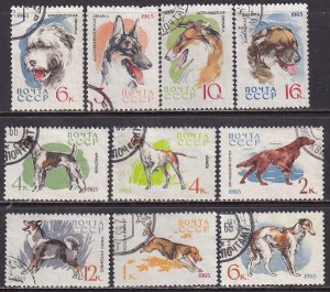 Russia 1965 Sc 3000-9 Hound Setter Pointer Terrier Husky Sheep Dog Stamp CTO