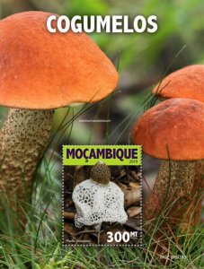 Mozambique 2019 MNH Mushrooms Stamps Phallus Leccinum Fungi Nature 1v S/S