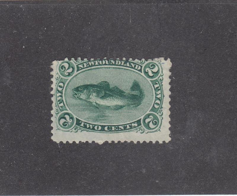 NEWFOUNDLAND # 24 MH 2cts CODFISH GREEN(Thin) CAT VALUE $50