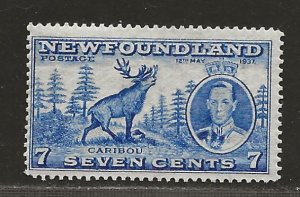 NEWFOUNDLAND  SC# 235  F/MLH