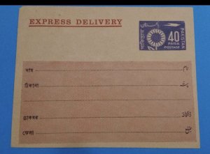 Pakistan Unissued Postal Stationery entire Express Delivery envelope Sun Flowers 