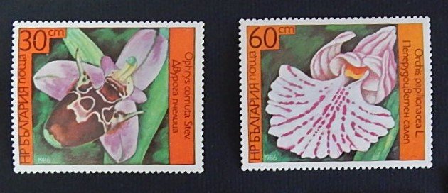 Flowers (R-422)