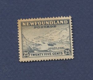 NEWFOUNDLAND - Scott 197 - hinged - 1932