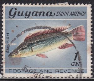 Guyana 39  Pike Cichlid 1968