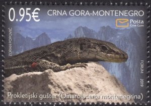 MONTENEGRO 2019 REPTILES LIZARD REPTILIEN