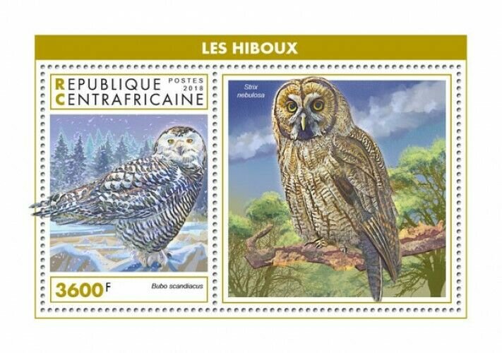 HERRICKSTAMP NEW ISSUES CENTRAL AFRICA Owls S/S