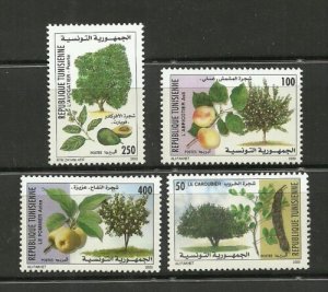 2000-Tunisia-Fruit trees-Carob tree- Apricot tree- Apple tree-Avocado pear tree