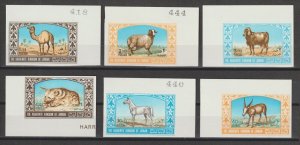 JORDAN 1967 SG 808/13b MNH Cat £30