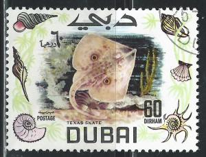 Dubai #106 60d Texas Skate Fish