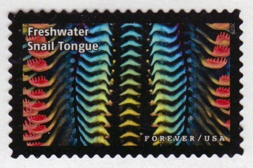 New 2023 - 66c - Life Magnified, Snail Tongue -15 of 20 - Used Off Paper