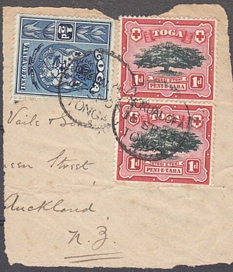 TONGA 1903 1d(2) & ½d on piece - Nukualofa cds..............................A197