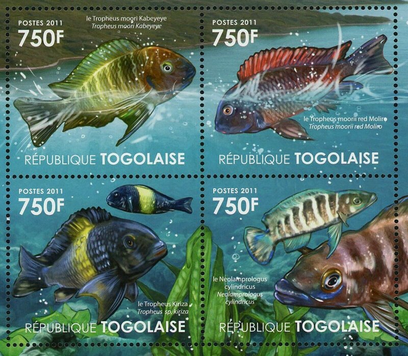 Ecosystem Tanganyika Lake Stamp Fish Tropheus Neolamprologus S/S MNH #4181-4184