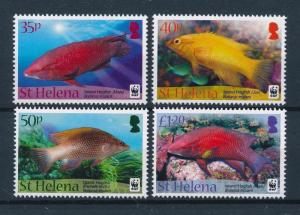 [53866] St. Helena 2011 Marine life WWF Hog Fish MNH