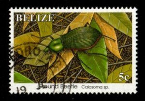 Belize #1035 used