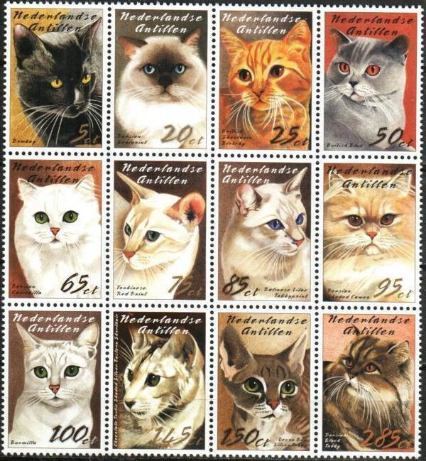 Netherlands Antilles Stamp 1016  - Cats