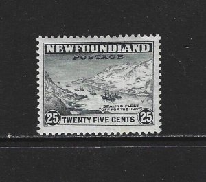 NEWFOUNDLAND - #197 - 25c SEALING FLEET MINT STAMP MH