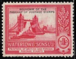 1928 Great Britain Poster Stamp Waterlow & Sons Ltd. Souvenir Of The Pageant
