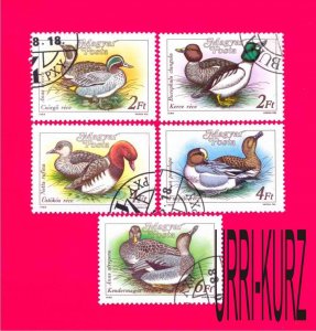 HUNGARY 1988 Nature Fauna Birds Fowls Ducks 5v Sc3136-3140 Mi3972-3976 CTO OG