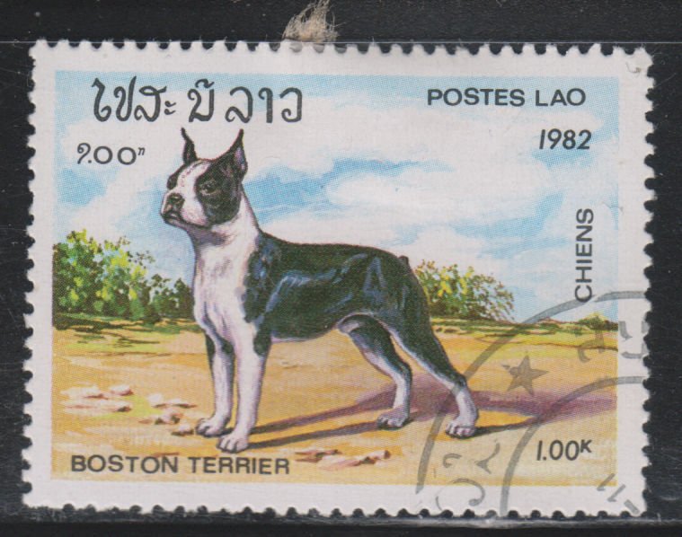 Laos 407 Dogs 1982