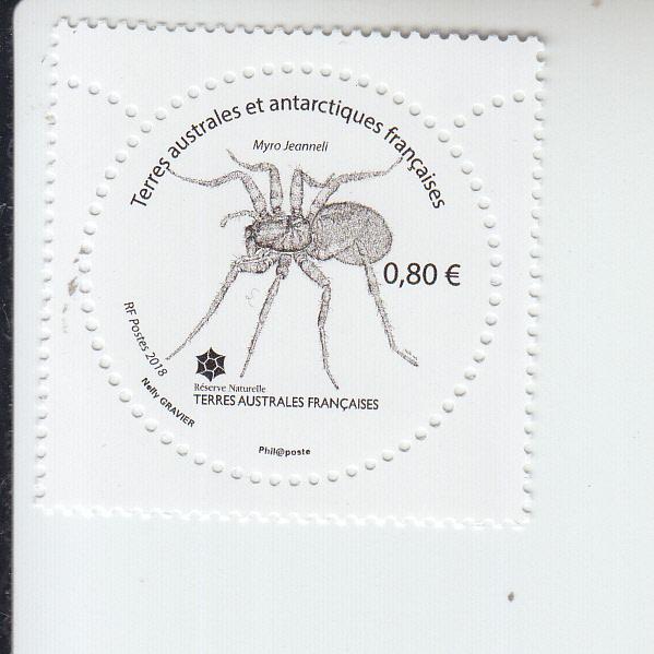 2018 FSAT Fr Antarctic Crozet Spider Myro Jeanneli  (Scott 576) MNH