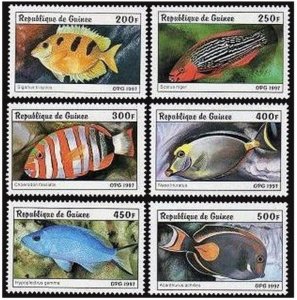 Guinea 1403-1408, 1409 sheet, MNH. Fish 1997.