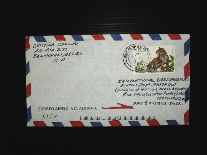 Belize A/M cover Belmopan to USA panther (34bde)