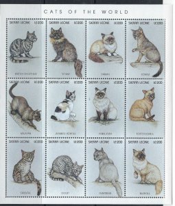 Sierra Leone 1893 MNH 1996 Cats