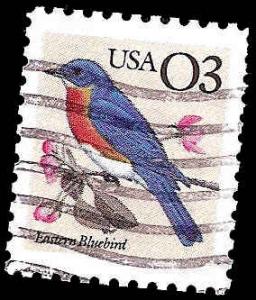 # 2478 USED EASTERN BLUEBIRD