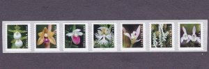 PNC7 55c Wild Orchids B1111 US 5435-5444, 5444a MNH Plate Number Middle Stamp