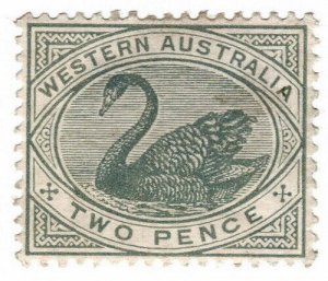 (I.B) Australia Postal : Western Australia 2d (SG 96)