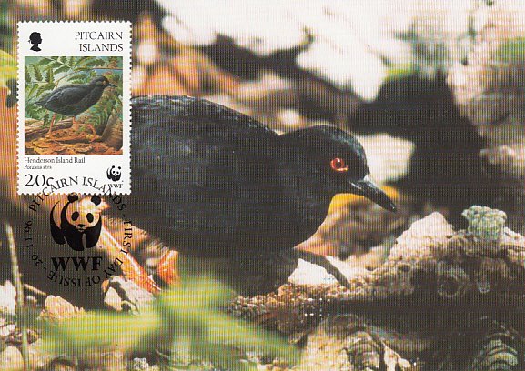 Pitcairn Islands 1996 Maxicard Sc #459 20c Henderson Island rail WWF