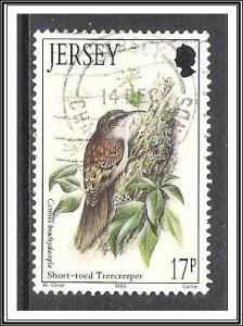 Jersey #646 Birds Used