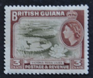 DYNAMITE Stamps: British Guiana Scott #255 – MINT hr