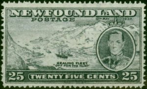 Newfoundland 1937 25c Slate SG266 Fine MNH