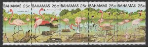 BAHAMAS 1982 FLAMINGOES Strip Sc 509 MNH