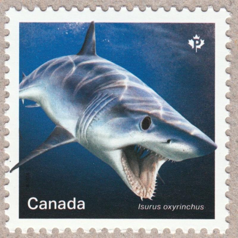 SHORTFIN MAKO SHARK = Sharks in Canadian Waters = Stamp from SS MNH Canada 2018