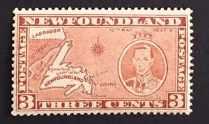 Newfoundland 234 VF MNH