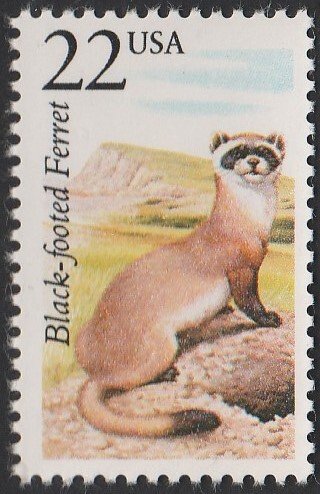 USA #2333 1987 22c Black-footed Ferret MNH.