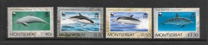 DOLPHINS - MONTSERRAT #753-6  WWF  MNH