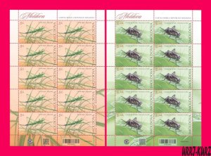 MOLDOVA 2024 Nature Fauna Insect Grasshoppers 2 m-s Mi Klb.1307-Klb.1308 MNH