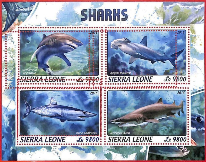 A4668 - SIERRA LEONE - MISPERF ERROR, minifoil: 2018, sharks, marine life-