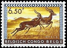 BELGIAN CONGO   #315 MNH (1)