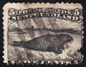 Newfoundland Scott 26 (1868) Used P, CV $275.00 C