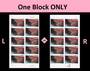 US C134 Airmail Rio Grande 40c plate block (10 stamps) MNH 1999