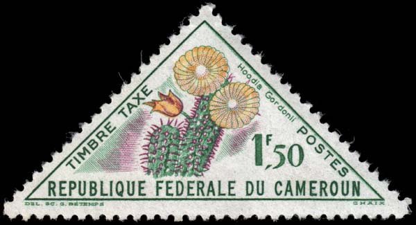 Cameroun - Scott J38 - Mint-Hinged - Gum Damage