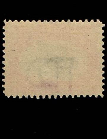 Scott #295 Superb-OG-NH.