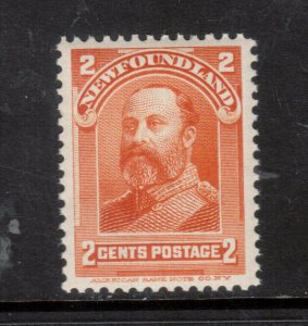 Newfoundland #81 Extra Fine Mint Never Hinged