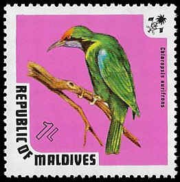 Maldive Islands #447 Unused OG VLH; 1L Goldfronted Leafbird (1973)